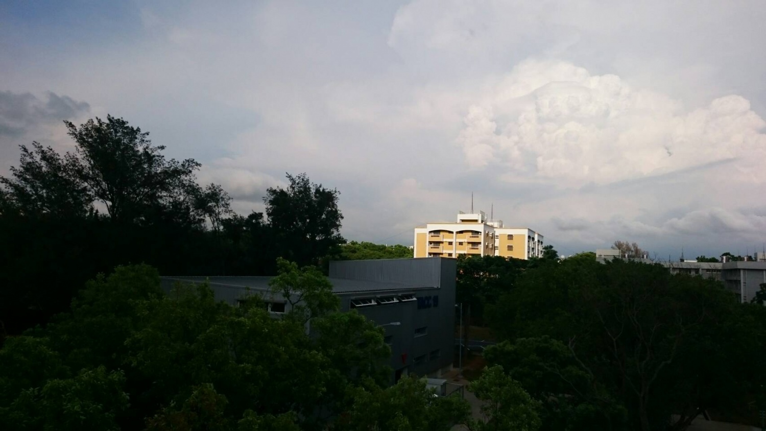 4679.jpg
